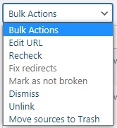 broken link checker bulk options