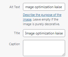  Image optimization Alt tag