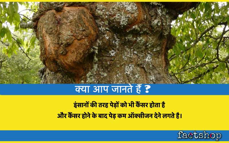 Life Fact in Hindi