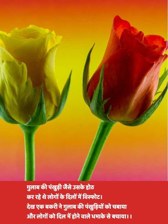 Happy Rose Day Jokes in Hindi 2024