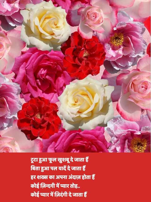 Happy Rose Day Wishes in Hindi