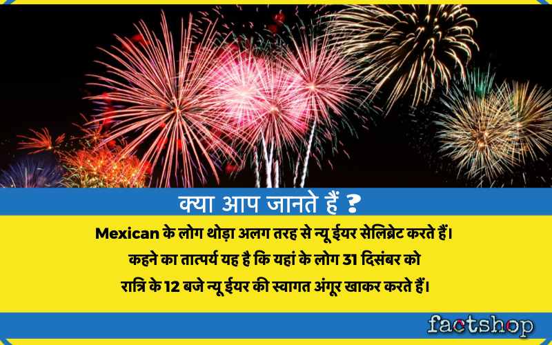 New Year Fact in Hindi