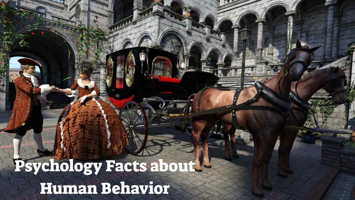Psychology Facts about Human Behavior