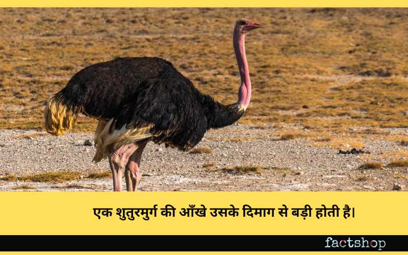 Today Facts in Hindi 