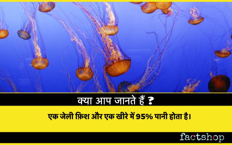 Water Facts in Hindi