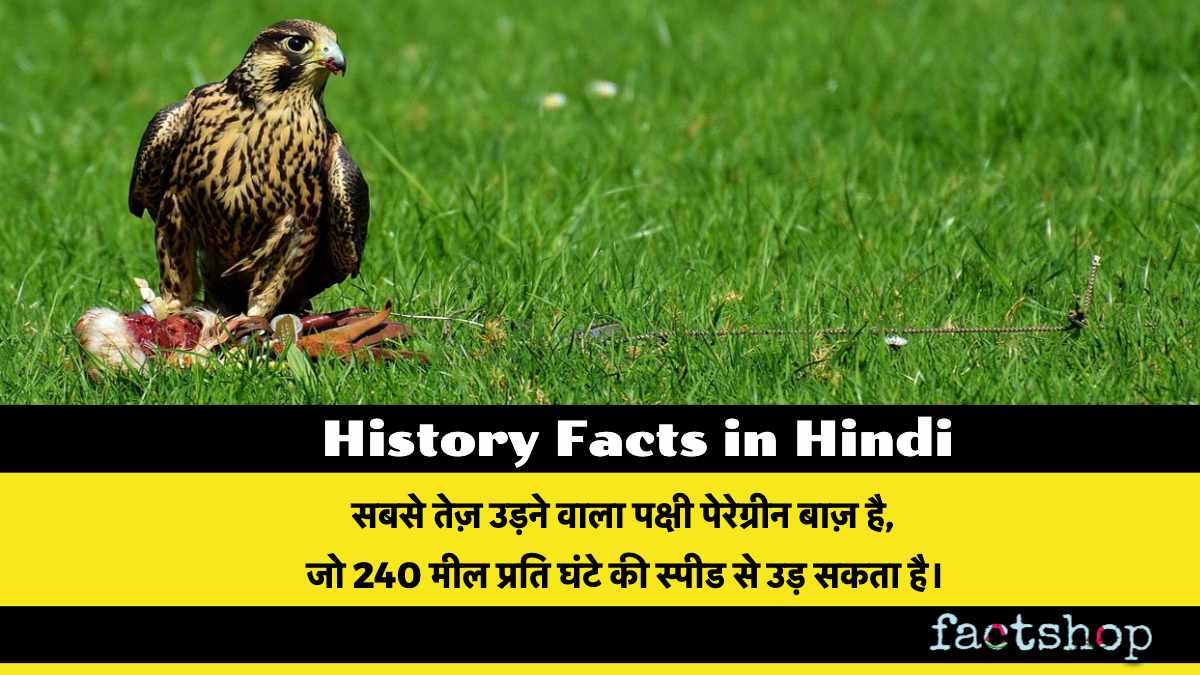 History Facts in Hindi