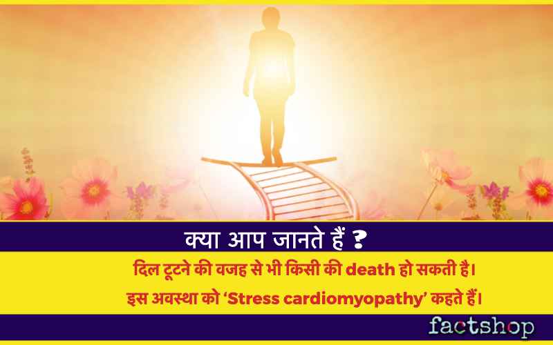 Death Facts in Hindi
