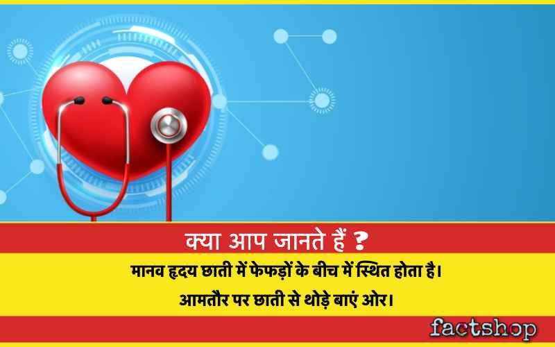 Interesting Facts About Human Heart In Hindi