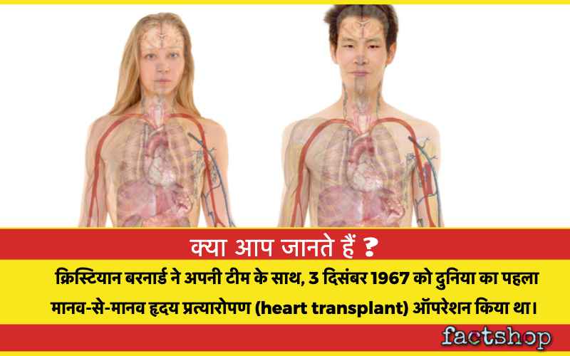 Interesting Facts About Human Heart In Hindi