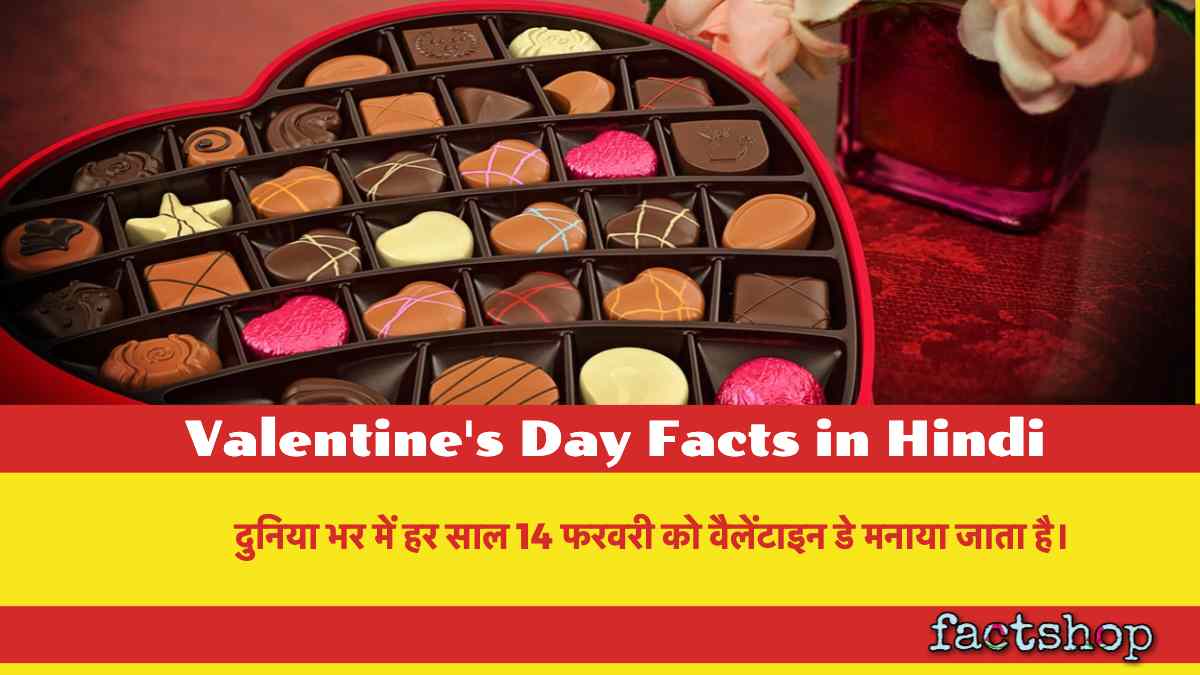 Valentine's Day Facts in Hindi